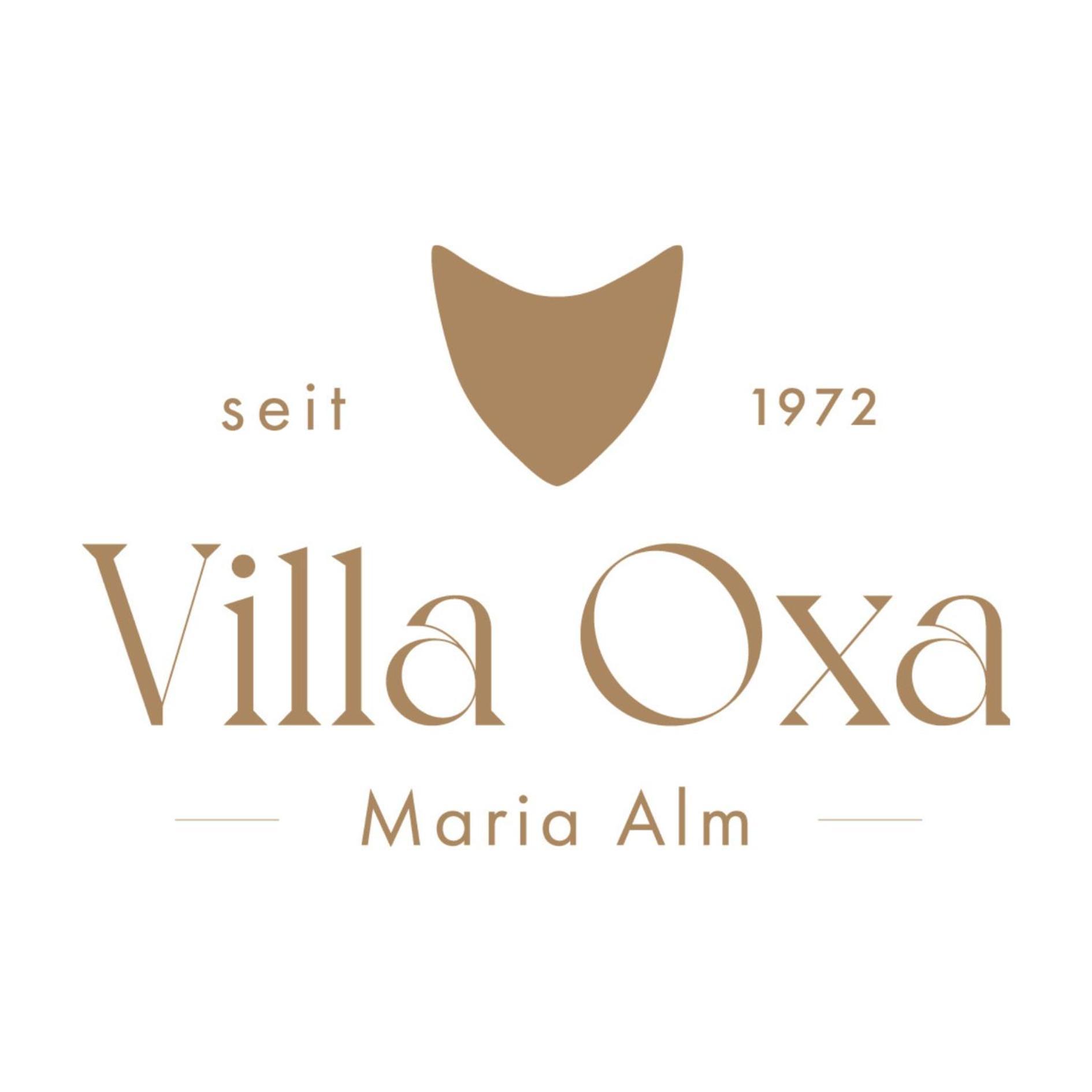Villa Oxa - Boutique Design Hotel Maria Alm am Steinernen Meer Ngoại thất bức ảnh